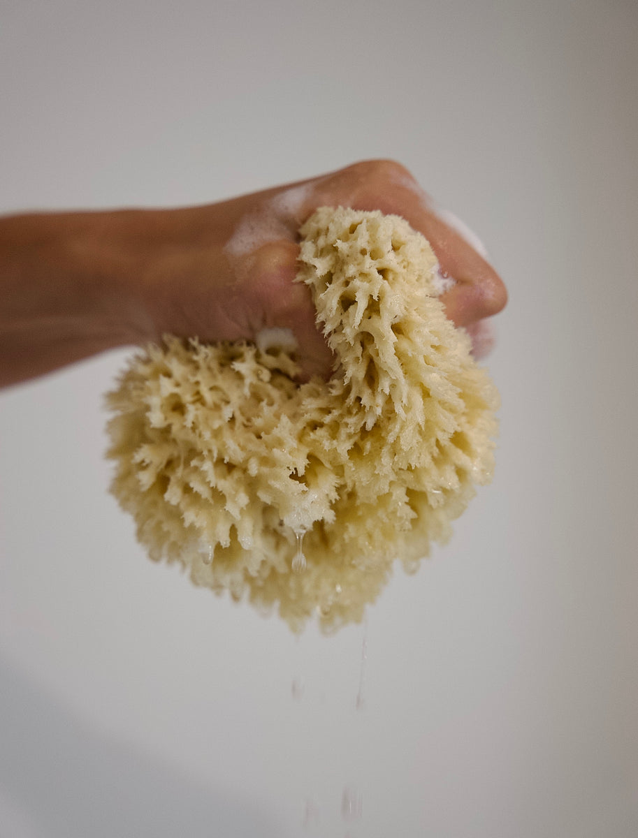 Natural Sea Wool Sponge 4-5 by Spa Destinations Amazing Natural Renewable ResourceCreating The in Perfect Bath and Shower Experience