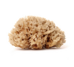 Load image into Gallery viewer, The Gift Set - Shower &amp; Facial Sea Sponge + Dry Brush
