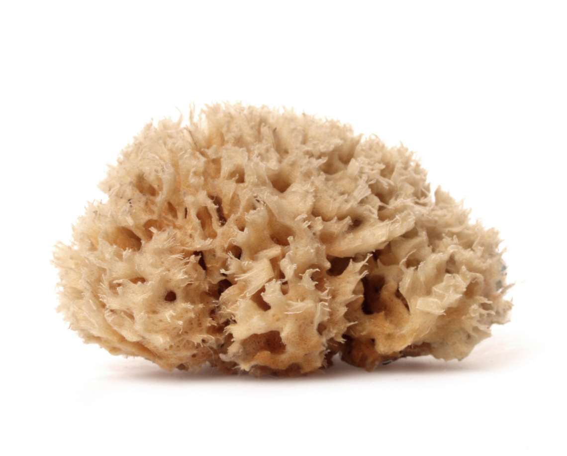 WHOA. Ultra Soft & Really Really Big Sea Wool Bath Sponge - Jade