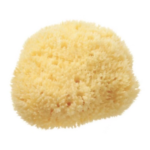 shower sea sponge for face