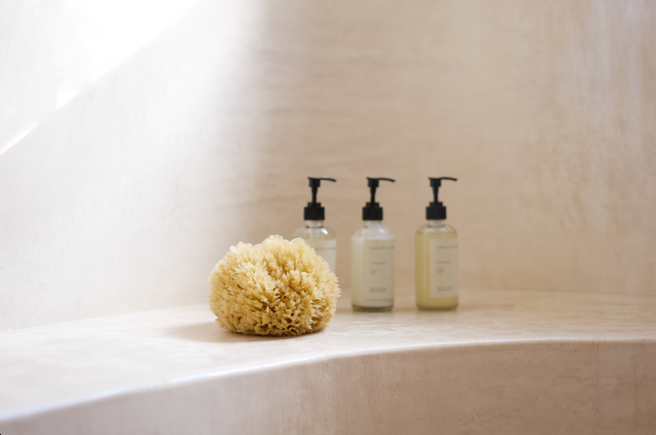 Mediterranean Wool Sponges – Bath Accessories Co.